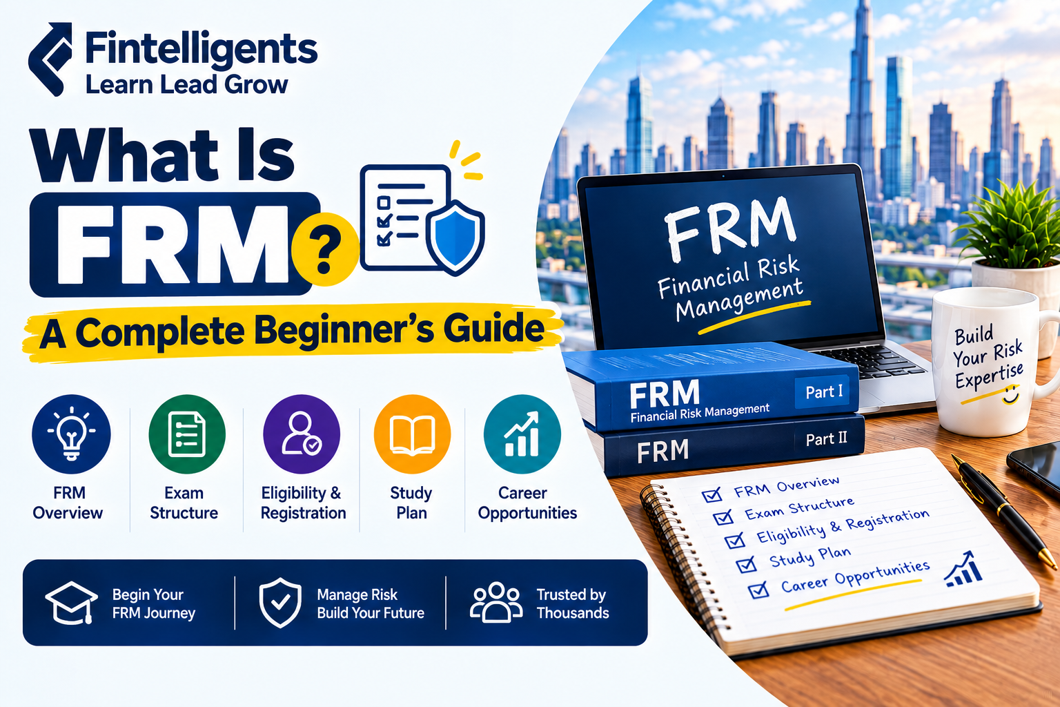What is FRM Financial Risk Management complete beginner's guide
